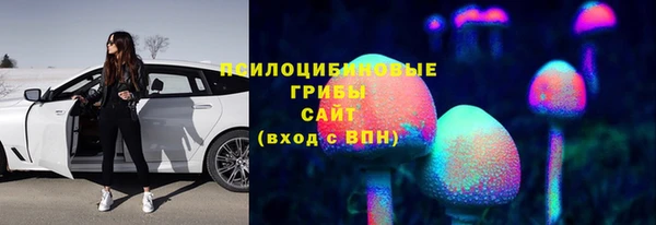 герыч Алзамай