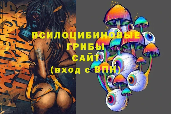 гидра Алексин