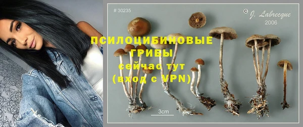 герыч Алзамай